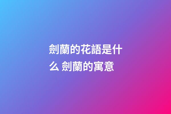 劍蘭的花語是什么 劍蘭的寓意